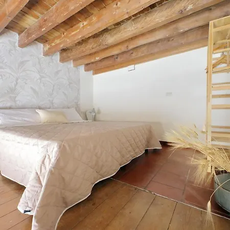 Bellezza Al Colosseo - B&b&apts Bed & Breakfast Roma