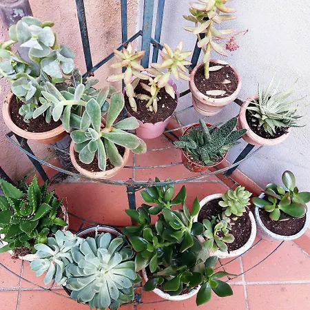 Appartement Bellezza Al Colosseo - & Apts *